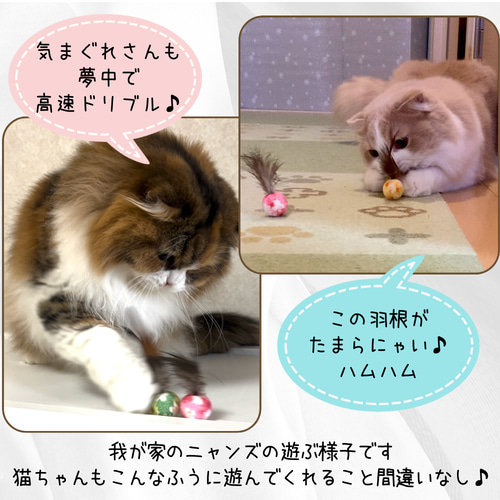 猫夢中♪不思議なミニボール/小3コセット/選べる羽根