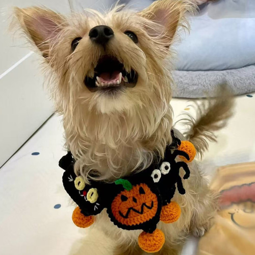 EMY's Gallery 猫襟 ワンちゃん襟 首輪 カギ編み 犬襟 つけ襟