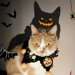 襟つき首輪、ハロウィン限定、スイートロリータ(パープル)わんちゃん猫ちゃん用 ハロウィン限定スイートロリータ(パープル)わんちゃん猫ちゃん用襟つき