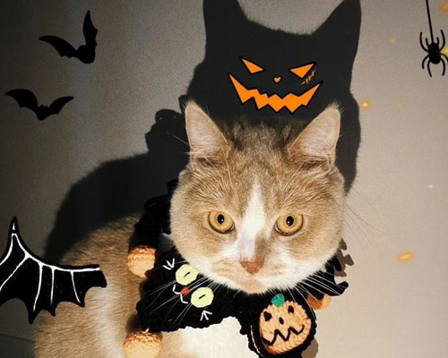 EMY's Gallery 猫襟 ワンちゃん襟 首輪 カギ編み 犬襟 つけ襟