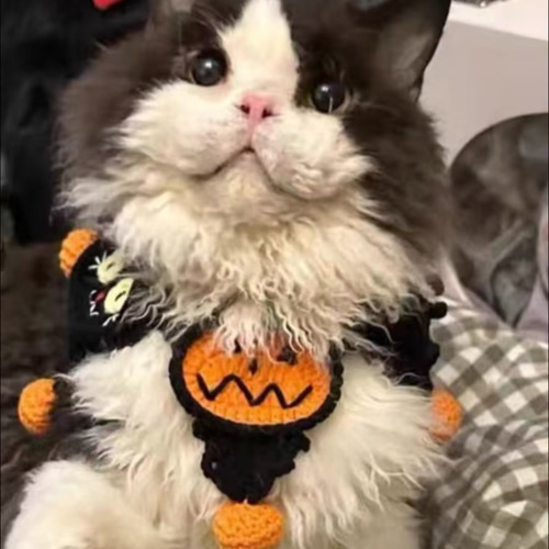 スタイ、ハロウィン限定スイートロリータ(ブルー)わんちゃん猫ちゃん用 ハロウィン、ゴスロリスタイ⑤)わんちゃん猫ちゃん用 スタイ