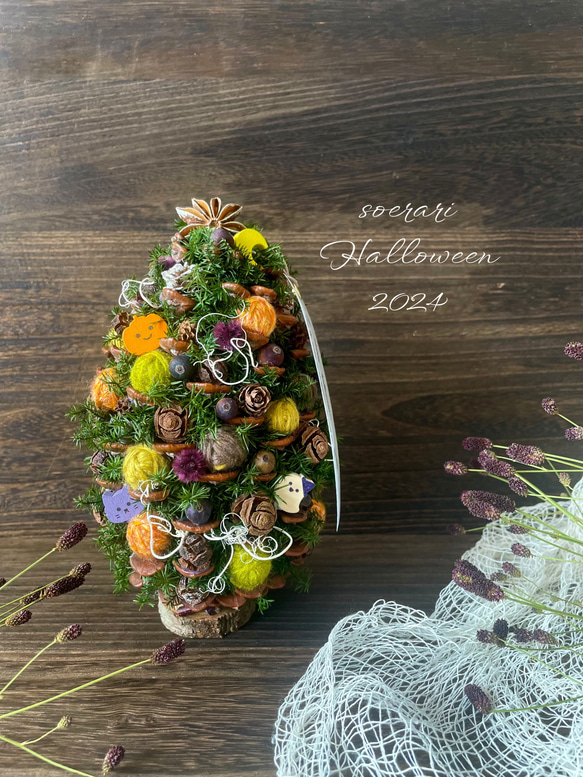 大量！【クリスマスリース・ハロウィンリースの材料】松ぼっくり・つばきなど 大量！【クリスマスリース・ハロウィンリースの材料】松ぼっくり