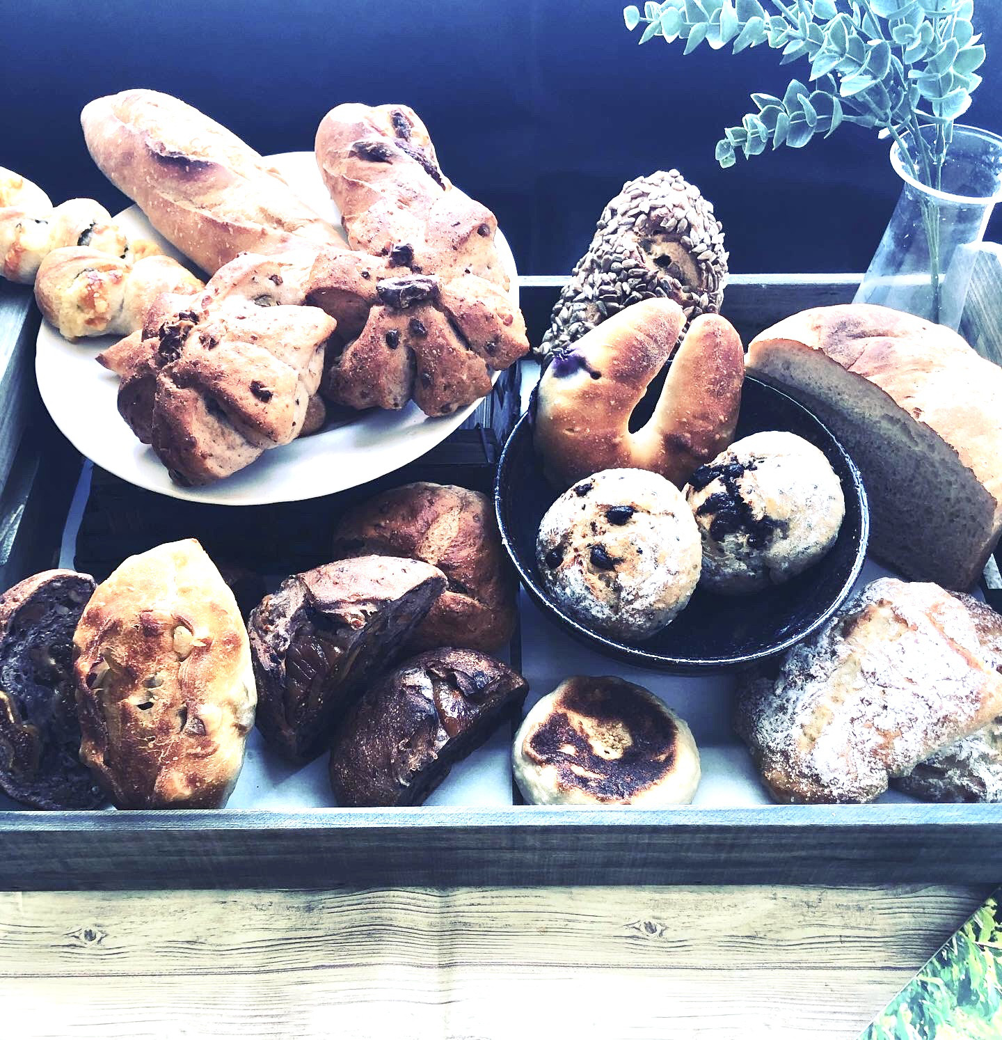 松セット【北海道産小麦使用】