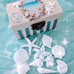 アロマストーンシェル&ハーバリウム海セット d02d7a572cab3f01f24611ae730684