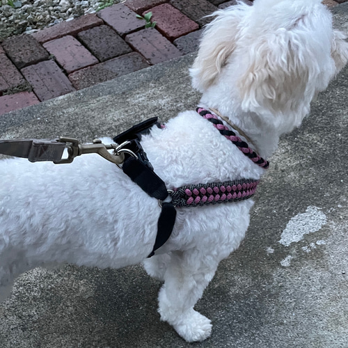 ハーネス サンク編み】抜けにくい 選べるカラー パラコード サイズ