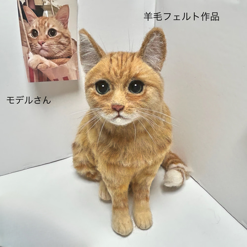 激安！特価品 ウチの子オーダー愛猫羊毛フェルト リアル そっくり 幸せな 羊毛フェルト