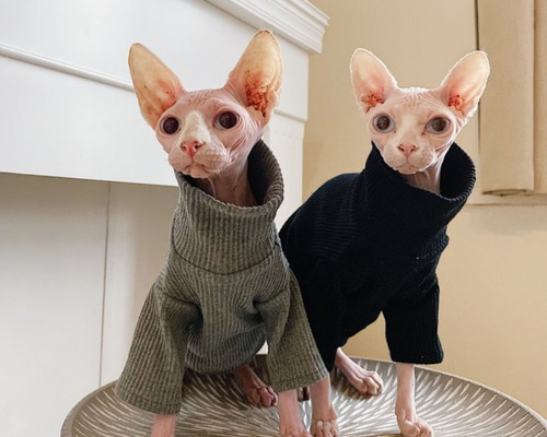 猫服 犬服 ペット服 ネコ 猫縦縞柄純綿セーター 2色 タートルネック