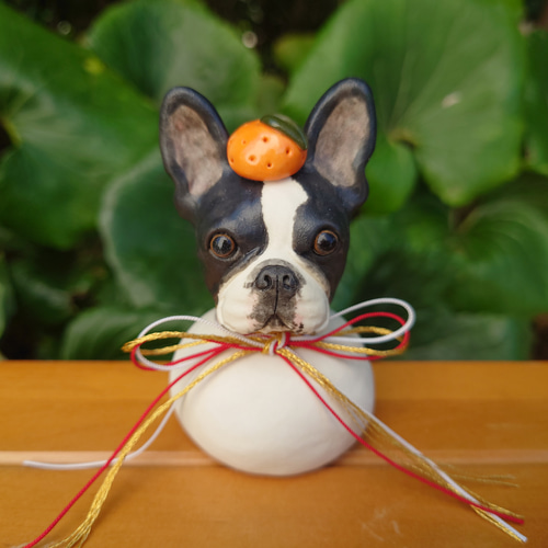 鏡餅☆フレンチブルドッグ 鏡餅 まりも工房 通販 18300238｜Creema