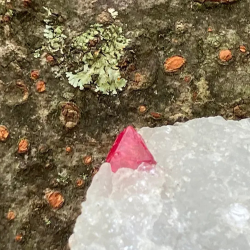 ミャンマー産 レッドスピネル 母岩付き原石 天然石 stonetatsuya 通販