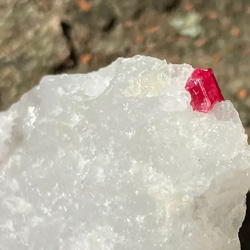 fee00d705108af2719fb2787c765bf