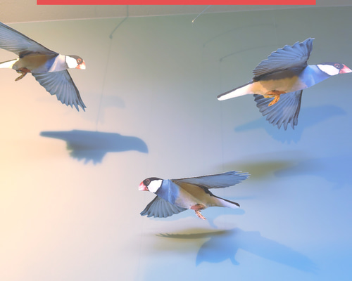1650→￥1500 文鳥 鳥 モビール モビール J.L.V FRANCE 通販 18301263