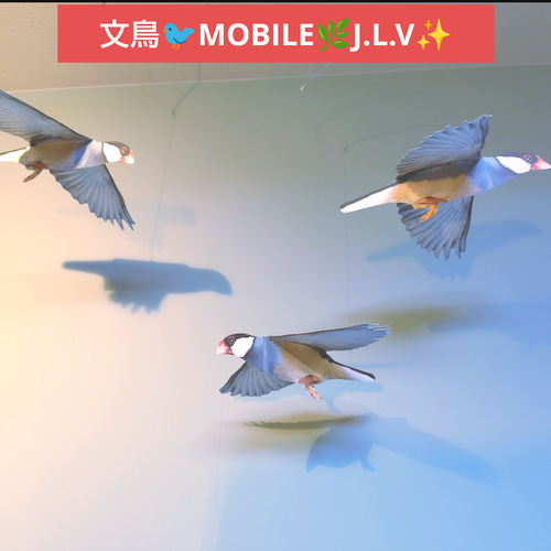 1650→￥1500 文鳥 鳥 モビール モビール J.L.V FRANCE 通販 18301263