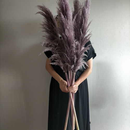 新色入荷！ 選べるカラーパンパスグラス 3本セット ドライフラワー