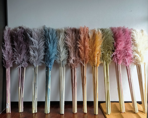 48db22e6f6b2bc612a27c3bafbaf67