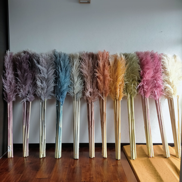 新色入荷！ 選べるカラーパンパスグラス 3本セット ドライフラワー