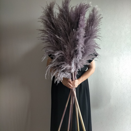 新色入荷！ 選べるカラーパンパスグラス 3本セット ドライフラワー