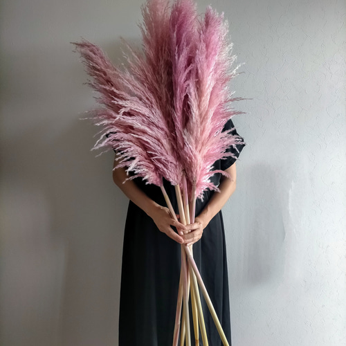 新色入荷！ 選べるカラーパンパスグラス 3本セット ドライフラワー