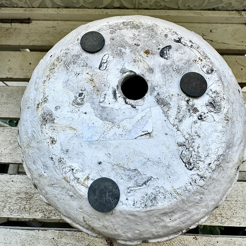 カリフォルニアゴールド 斑入り 株分け ヘデラ アンティーク鉢