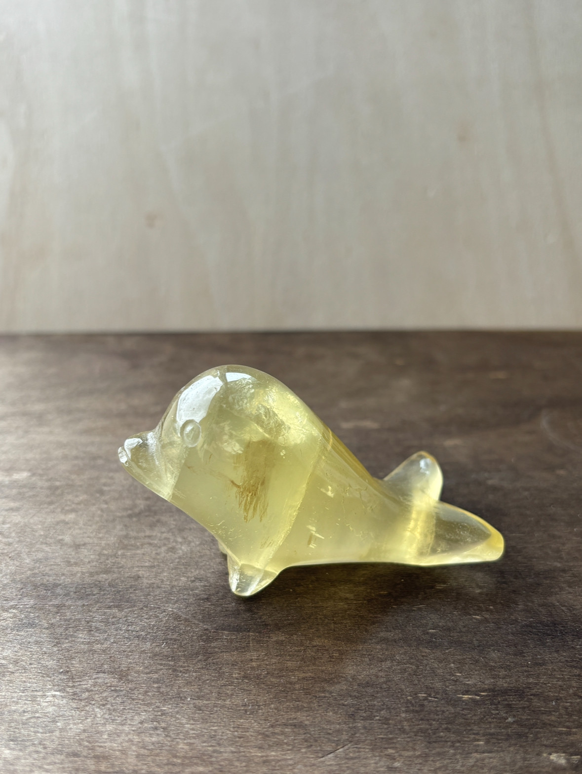 虹入り☆シトリンいるか☆瀧川神社にて浄化☆103g☆78mm☆No.5