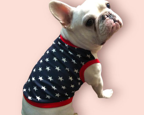 ずり落ちない♡ネイビーブルーの星柄タンク フレンチブルドッグパグ