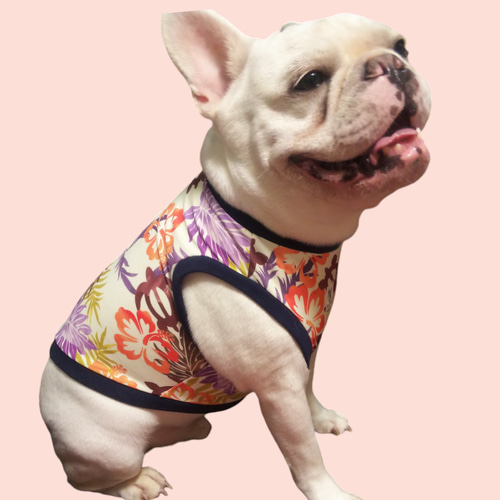 ☆犬服ハンドメイド☆フレブル・パグのお洋服