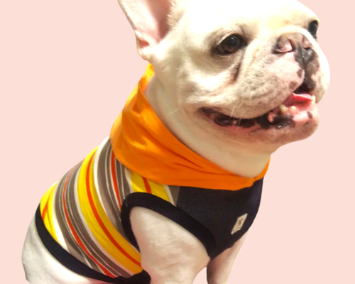 ○犬服○ハンドメイド 胴54 NO.533 フレブル パグ ○犬服