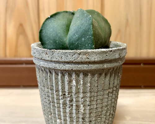 e7a9434360228006b10674dfd9d336