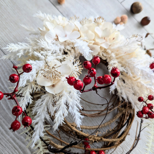 クリスマスを彩るハーフリースbrown×red リース クリスマス Mサイズ クリスマスリース Christmas Xmas Wreath