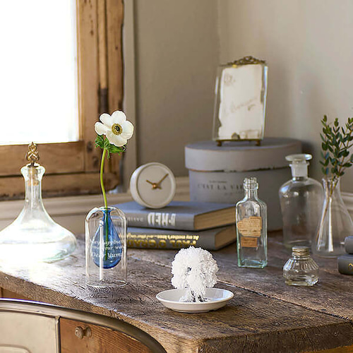 名入れ】クリアドームの中にユニークなシルエットが浮かんで見える