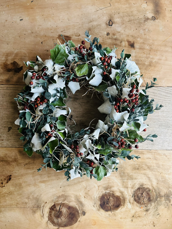 ウラジロの葉とノイバラの実のリース LL リース JiLL 通販 18305093