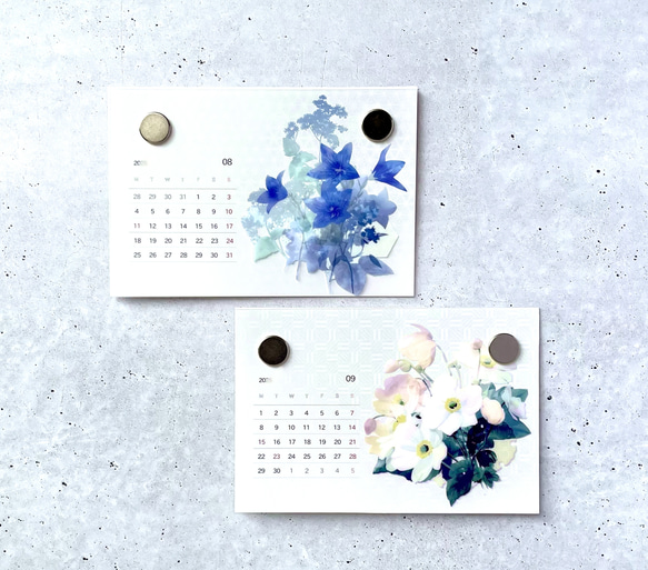 2026年版 -選んで飾れる- 花と草木のイラストカレンダー (ハガキサイズ・イラスト6種) 7枚目の画像