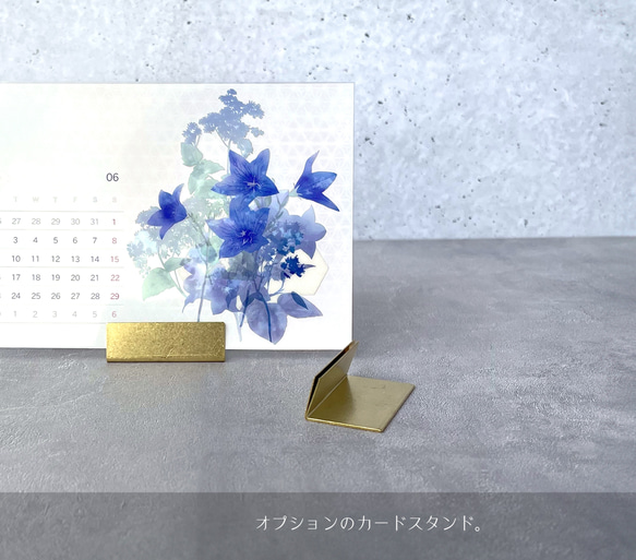 2026年版 -選んで飾れる- 花と草木のイラストカレンダー (ハガキサイズ・イラスト6種) 9枚目の画像