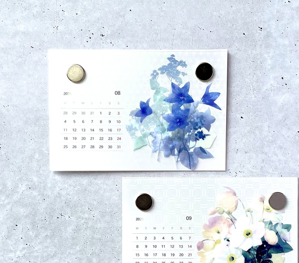 2026年版 -選んで飾れる- 花と草木のイラストカレンダー (ハガキサイズ・イラスト6種) 4枚目の画像