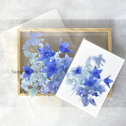 2026年版 -選んで飾れる- 花と草木のイラストカレンダー (ハガキサイズ・イラスト6種) 16枚目の画像