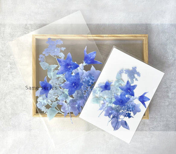 2026年版 -選んで飾れる- 花と草木のイラストカレンダー (ハガキサイズ・イラスト6種) 16枚目の画像