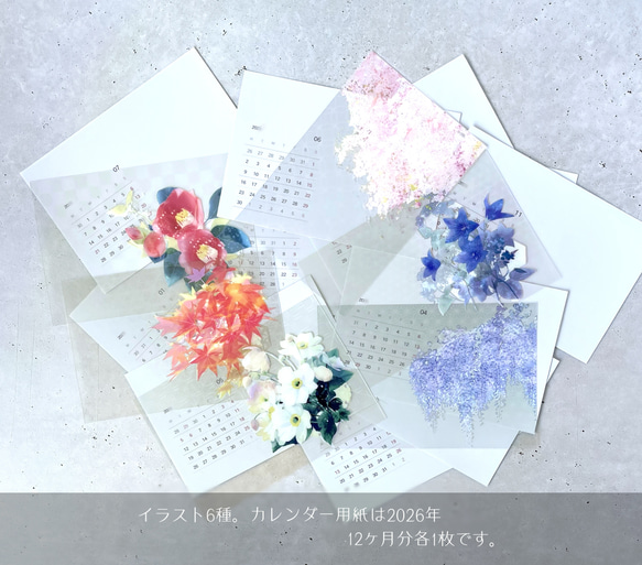 2026年版 -選んで飾れる- 花と草木のイラストカレンダー (ハガキサイズ・イラスト6種) 3枚目の画像
