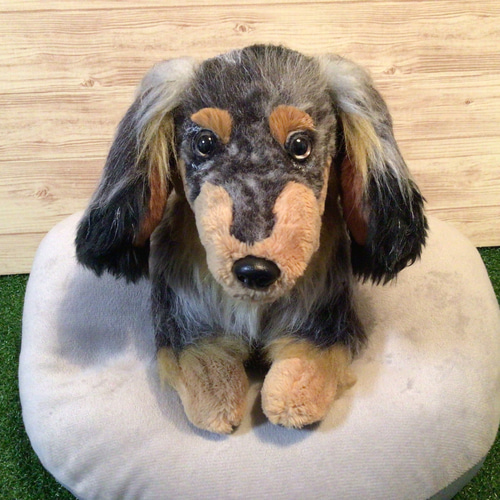 t様愛犬ちゃんオーダーメイド品(ミニチュアダックスフンド t様愛犬ちゃんオーダーメイド品(ミニチュアダックスフンド