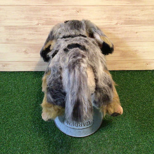 t様愛犬ちゃんオーダーメイド品(ミニチュアダックスフンド