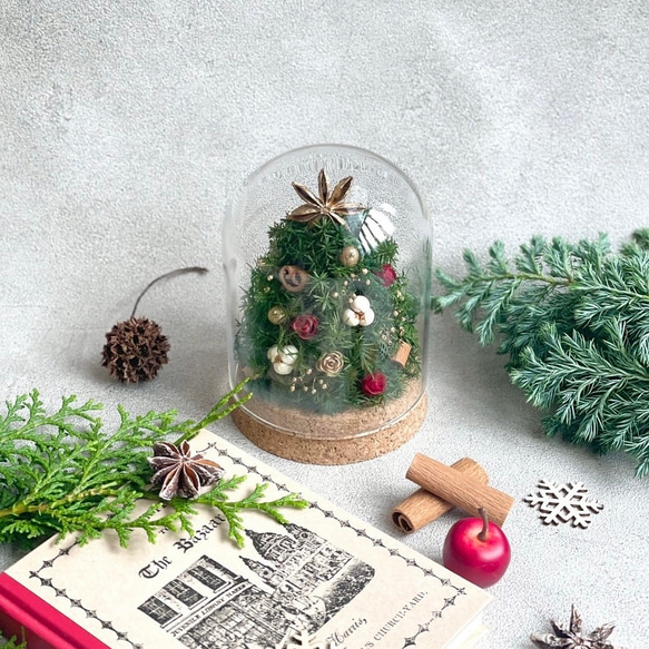 ミニクリスマスツリー ✳︎ ガラスドーム アレンジ /  枯れない / クリスマスアレンジ 1枚目の画像