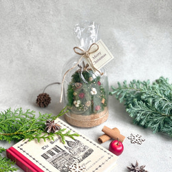 ミニクリスマスツリー ✳︎ ガラスドーム アレンジ /  枯れない / クリスマスアレンジ 2枚目の画像