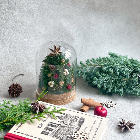 ミニクリスマスツリー ✳︎ ガラスドーム アレンジ /  枯れない / クリスマスアレンジ 4枚目の画像