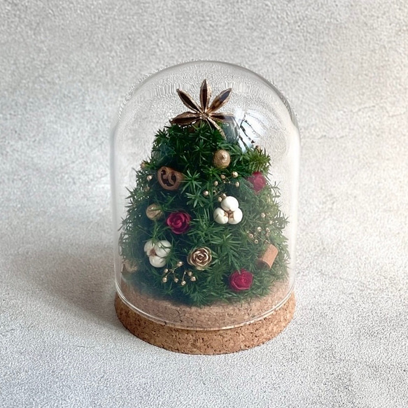 ミニクリスマスツリー ✳︎ ガラスドーム アレンジ /  枯れない / クリスマスアレンジ 3枚目の画像