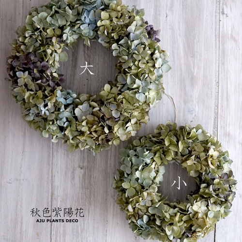 【公式】アクセサリーの激安通販 秋色紫陽花のリース（大）28cm（ドライ） リース AJU PLANTS フラワー・リース