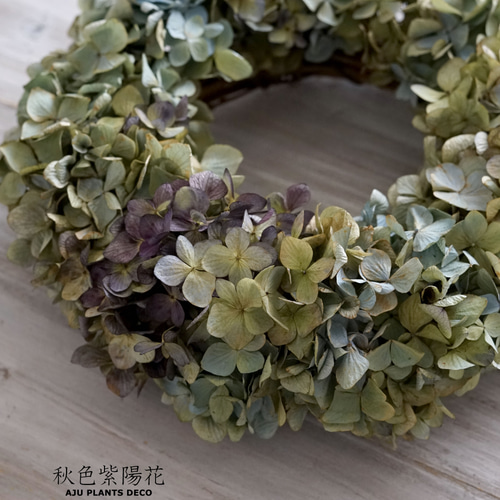 秋色紫陽花のリース（大）28cm（ドライ） リース AJU PLANTS