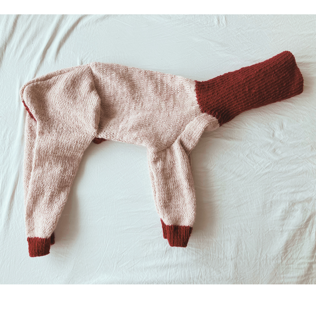 イタグレ＆ウィペットさんのフルオーダーカバーオールセーター