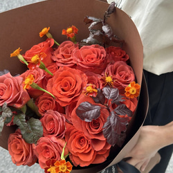 3ca38e616ccb85c5aec60ee96a6285