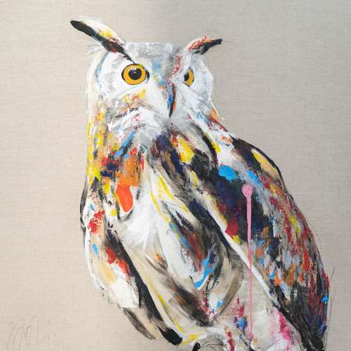 owl / フクロウ 1メートル正方形作品 絵画 TOMOYA 通販