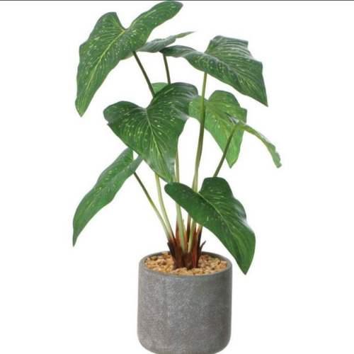 【後払い手数料無料】 光触媒 人工観葉植物 ウォールグリーン フェイクグリーン フラワー・ガーデニング
