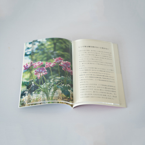 今日も花が咲いている ZINE（布花の作り方） ZINE・小冊子 布花・紙花