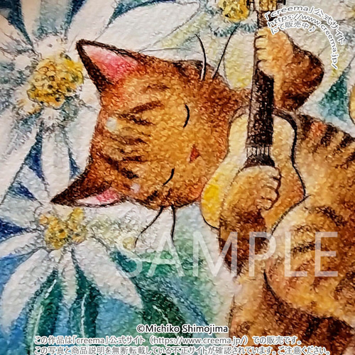 原画・パステル画「エーデルワイス」下島みちこ/絵画・額縁・猫 原画・パステル画「エーデルワイス」下島みちこ/絵画・額縁・猫
